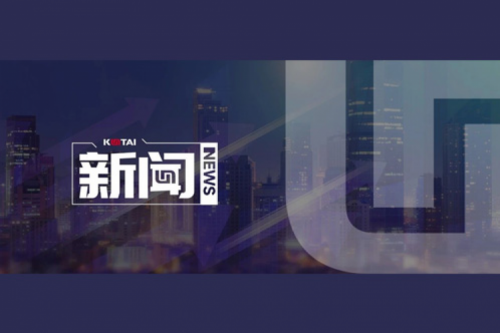 AI革新加速，东升国际官网数码2024全年毛利额营收逆势双升